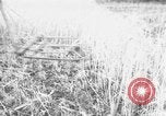Standbild Ukraine Landwirte Ukraine, 1943, aus Sekunde 1 historischem Filmmaterial Videoclip 65675045849