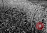Standbild Ukraine Landwirte Ukraine, 1943, aus Sekunde 4 historischem Filmmaterial Videoclip 65675045849
