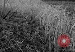 Standbild Ukraine Landwirte Ukraine, 1943, aus Sekunde 7 historischem Filmmaterial Videoclip 65675045849