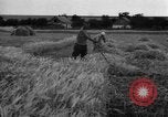 Standbild Ukraine Landwirte Ukraine, 1943, aus Sekunde 8 historischem Filmmaterial Videoclip 65675045849