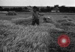 Standbild Ukraine Landwirte Ukraine, 1943, aus Sekunde 9 historischem Filmmaterial Videoclip 65675045849