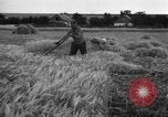 Standbild Ukraine Landwirte Ukraine, 1943, aus Sekunde 10 historischem Filmmaterial Videoclip 65675045849