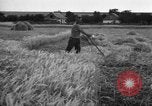 Standbild Ukraine Landwirte Ukraine, 1943, aus Sekunde 11 historischem Filmmaterial Videoclip 65675045849
