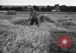 Standbild Ukraine Landwirte Ukraine, 1943, aus Sekunde 12 historischem Filmmaterial Videoclip 65675045849