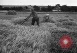 Standbild Ukraine Landwirte Ukraine, 1943, aus Sekunde 13 historischem Filmmaterial Videoclip 65675045849