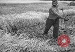 Standbild Ukraine Landwirte Ukraine, 1943, aus Sekunde 14 historischem Filmmaterial Videoclip 65675045849