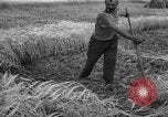 Standbild Ukraine Landwirte Ukraine, 1943, aus Sekunde 17 historischem Filmmaterial Videoclip 65675045849