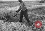 Standbild Ukraine Landwirte Ukraine, 1943, aus Sekunde 18 historischem Filmmaterial Videoclip 65675045849