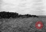 Standbild Ukraine Landwirte Ukraine, 1943, aus Sekunde 24 historischem Filmmaterial Videoclip 65675045849