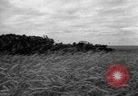Standbild Ukraine Landwirte Ukraine, 1943, aus Sekunde 25 historischem Filmmaterial Videoclip 65675045849