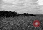 Standbild Ukraine Landwirte Ukraine, 1943, aus Sekunde 26 historischem Filmmaterial Videoclip 65675045849