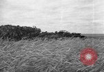 Standbild Ukraine Landwirte Ukraine, 1943, aus Sekunde 27 historischem Filmmaterial Videoclip 65675045849