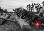 Standbild Ukraine Landwirte Ukraine, 1943, aus Sekunde 46 historischem Filmmaterial Videoclip 65675045849