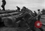 Standbild Ukraine Landwirte Ukraine, 1943, aus Sekunde 50 historischem Filmmaterial Videoclip 65675045849