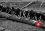 Standbild Ukraine Landwirte Ukraine, 1943, aus Sekunde 52 historischem Filmmaterial Videoclip 65675045849
