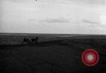 Standbild Ukraine Landwirte Ukraine, 1943, aus Sekunde 6 historischem Filmmaterial Videoclip 65675045850