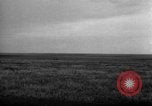Standbild Ukraine Landwirte Ukraine, 1943, aus Sekunde 27 historischem Filmmaterial Videoclip 65675045850