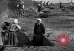 Standbild Ukraine Landwirte Ukraine, 1943, aus Sekunde 54 historischem Filmmaterial Videoclip 65675045850