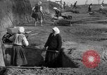Standbild Ukraine Landwirte Ukraine, 1943, aus Sekunde 55 historischem Filmmaterial Videoclip 65675045850