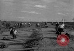 Standbild Ukraine Landwirte Ukraine, 1943, aus Sekunde 57 historischem Filmmaterial Videoclip 65675045850