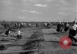 Standbild Ukraine Landwirte Ukraine, 1943, aus Sekunde 59 historischem Filmmaterial Videoclip 65675045850