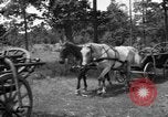 Image des bâtiments l'Ukraine, 1943, de la seconde 5 séquences d'archives historiques vidéo 65675045852