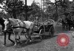 Image des bâtiments l'Ukraine, 1943, de la seconde 6 séquences d'archives historiques vidéo 65675045852