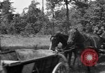 Image des bâtiments l'Ukraine, 1943, de la seconde 11 séquences d'archives historiques vidéo 65675045852