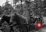 Image des bâtiments l'Ukraine, 1943, de la seconde 12 séquences d'archives historiques vidéo 65675045852
