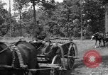 Image des bâtiments l'Ukraine, 1943, de la seconde 13 séquences d'archives historiques vidéo 65675045852