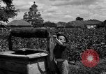 Image des bâtiments l'Ukraine, 1943, de la seconde 36 séquences d'archives historiques vidéo 65675045852
