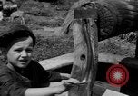 Image des bâtiments l'Ukraine, 1943, de la seconde 42 séquences d'archives historiques vidéo 65675045852