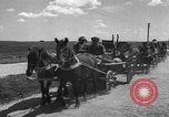 Image of general government border station Ukraine, 1943, second 39 stock footage video 65675045856