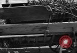 Image of general government border station Ukraine, 1943, second 59 stock footage video 65675045856