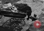Image of German news agency GmbH, DNB office at RKU Ukraine, 1943, second 34 stock footage video 65675045858