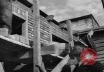 Image of German news agency GmbH, DNB office at RKU Ukraine, 1943, second 46 stock footage video 65675045858