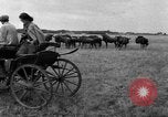 Image of Ukraine civilians Ukraine, 1943, second 32 stock footage video 65675045861