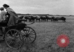 Image of Ukraine civilians Ukraine, 1943, second 33 stock footage video 65675045861