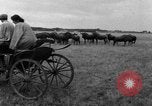 Image of Ukraine civilians Ukraine, 1943, second 34 stock footage video 65675045861
