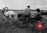 Image of Ukraine civilians Ukraine, 1943, second 37 stock footage video 65675045861