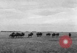 Image of Ukraine civilians Ukraine, 1943, second 38 stock footage video 65675045861