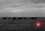 Image of Ukraine civilians Ukraine, 1943, second 39 stock footage video 65675045861