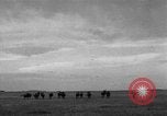 Image of Ukraine civilians Ukraine, 1943, second 44 stock footage video 65675045861