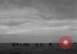 Image of Ukraine civilians Ukraine, 1943, second 45 stock footage video 65675045861
