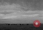 Image of Ukraine civilians Ukraine, 1943, second 46 stock footage video 65675045861