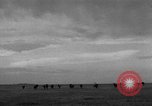 Image of Ukraine civilians Ukraine, 1943, second 47 stock footage video 65675045861