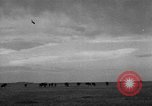 Image of Ukraine civilians Ukraine, 1943, second 48 stock footage video 65675045861