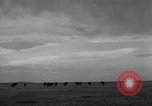 Image of Ukraine civilians Ukraine, 1943, second 49 stock footage video 65675045861