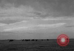 Image of Ukraine civilians Ukraine, 1943, second 50 stock footage video 65675045861