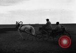 Image of Ukraine civilians Ukraine, 1943, second 52 stock footage video 65675045861